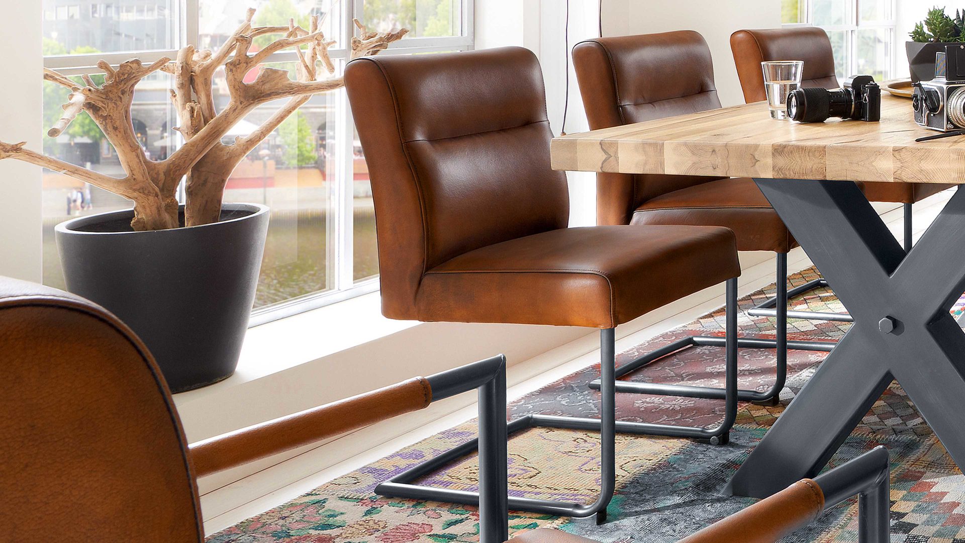 Schwingstuhl WOODS & TRENDS aus Leder in Braun WOODS & TRENDS Schwingstuhl bzw. Freischwinger Vintage Dining braunes Vintageleder Chelsea 523 & geschwärztes Roheisengestell