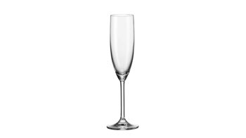 Sektglas Leonardo | glaskoch aus Glas in Transparent LEONARDO Sektglas Daily TEQTON®-Kristallglas – Fassungvermögen ca. 200 ml